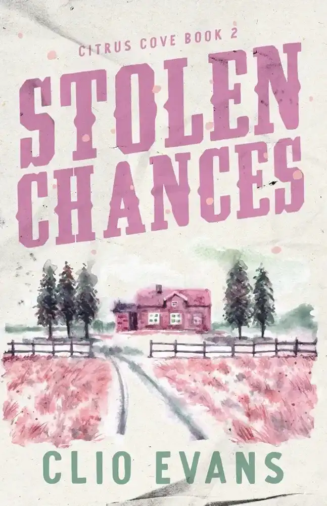 Stolen Chances