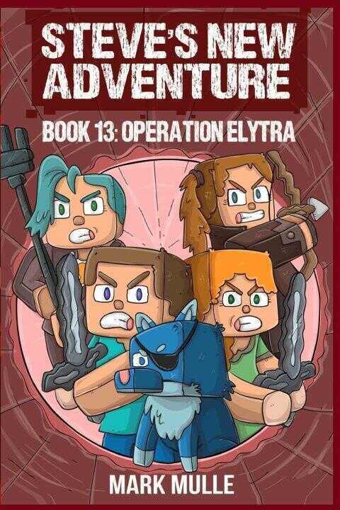 Steve's New Adventure Book 13