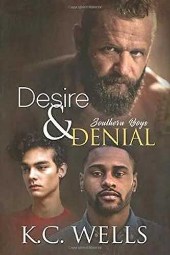 Desire & Denial (Southern Boys, Band 3)