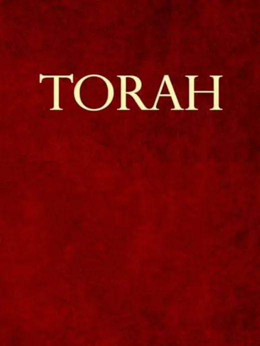 The Torah in English Large Print : The Holy Torah or La Torá Large Print is The Jewish Written Law In English consists of the five books of the Hebrew Bible