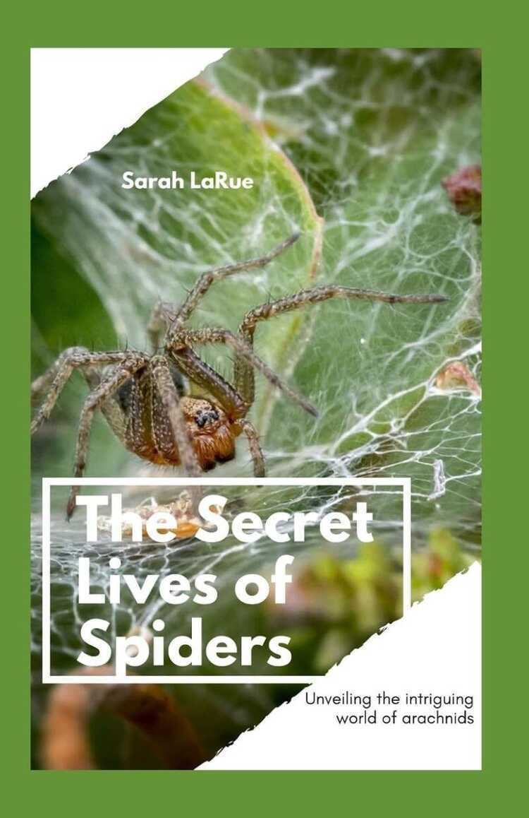 The Secret Lives of Spiders