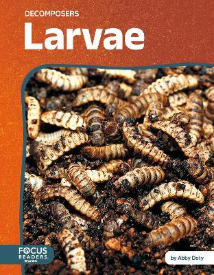 Larvae — Abby Doty