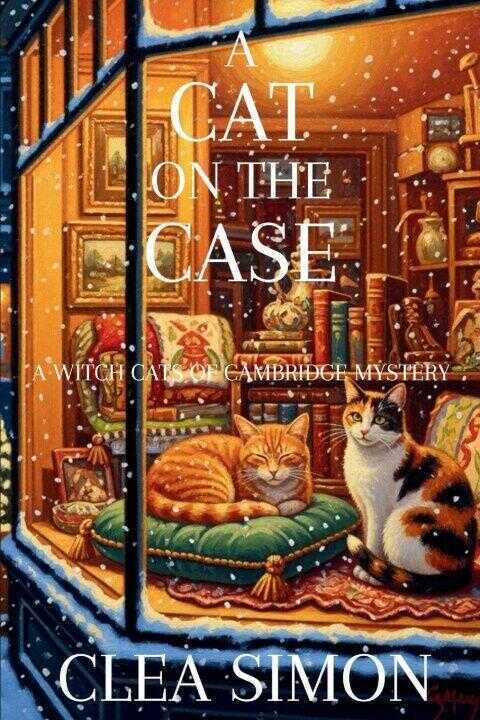 A Cat on the Case