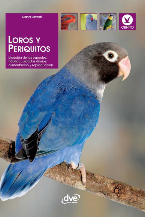 Loros y periquitos