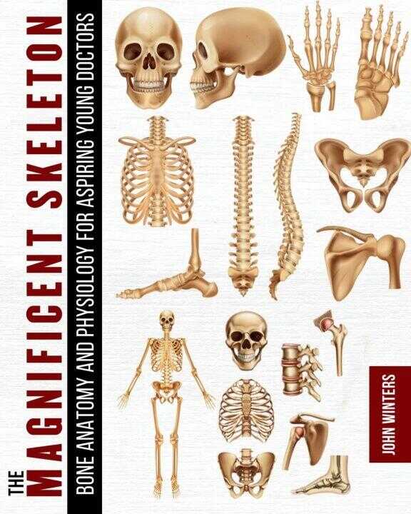 The Magnificent Skeleton
